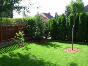 kertgondozás