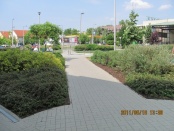 kertgondozás